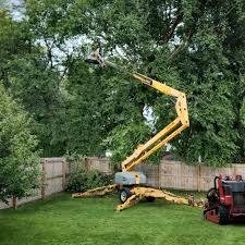 Best Utility Line Clearance  in Park Center, CO